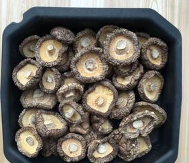 探秘湖北房縣 野生食用香菇的干貨之選與批發(fā)優(yōu)勢(shì)