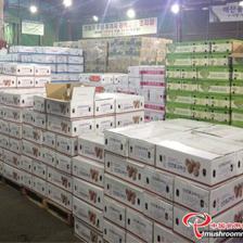 平泉市“瀑河源”榮膺全國(guó)食用菌行業(yè)優(yōu)秀品牌，樹(shù)立產(chǎn)業(yè)新標(biāo)桿